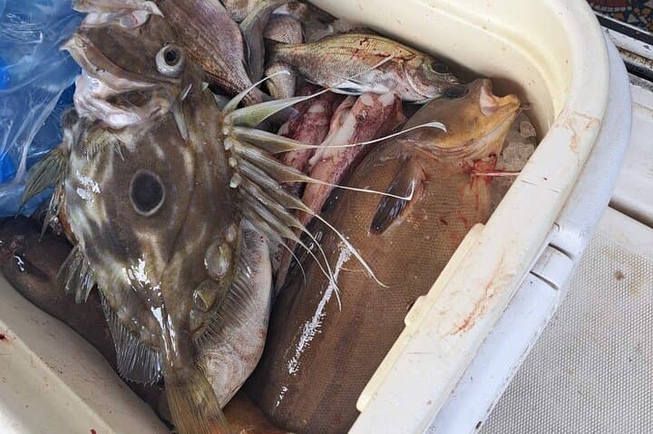 Private Montenegro Fishing Tour in Kotor Bay — Adriatic Deep-Sea Charter photo 4