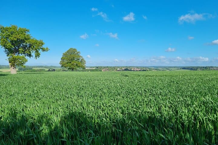 Chiltern Hills Camping Experience for Japanese Travelers photo 6