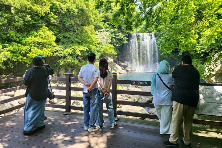 Private Tour to Cheonjeyeon Falls & O'sulloc Tea Plantation — Jeju Island Day Trip