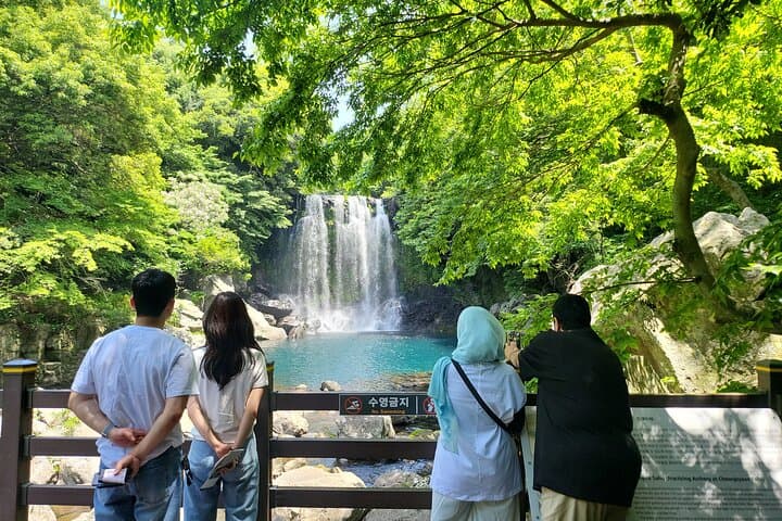 Private Tour to Cheonjeyeon Falls & O'sulloc Tea Plantation — Jeju Island Day Trip photo 2