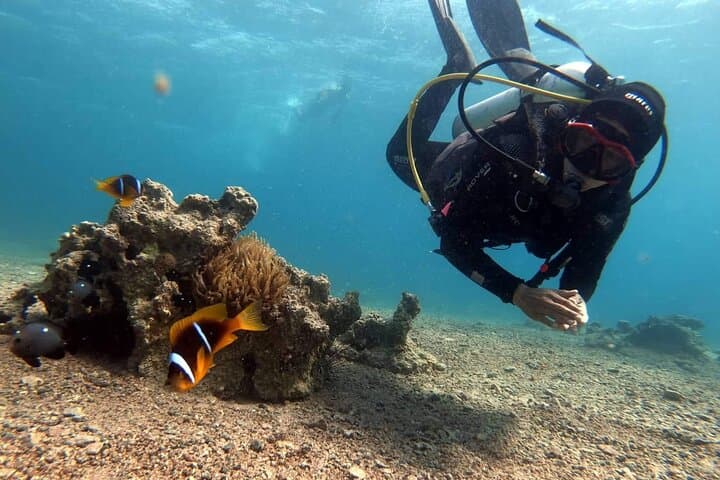 Private Scuba Diving in the Red Sea of Aqaba — Shore Dives & Wrecks photo 6