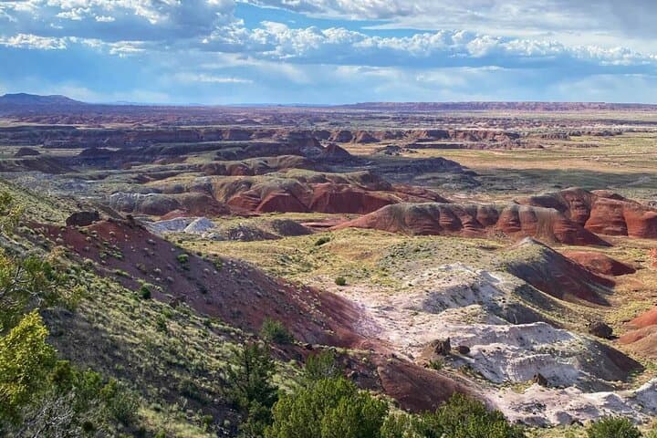 Petrified Forest National Park Self-Guided Driving Audio Tour — Route, Stops & Practical Tips photo 6
