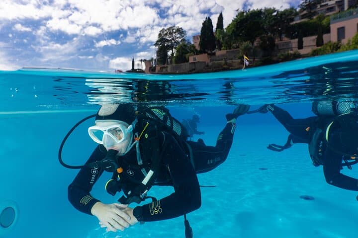 Beginner Scuba Diving in Funchal: Pool Lesson and Madeira Reef Dive photo 4