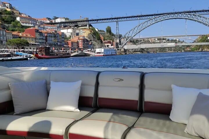 One-Hour Private Douro River Cruise: Foz to Ponte D. Luís photo 6