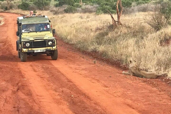 Private Maasai Mara Game Drive — Full-Day Safari with Local Guide photo 3