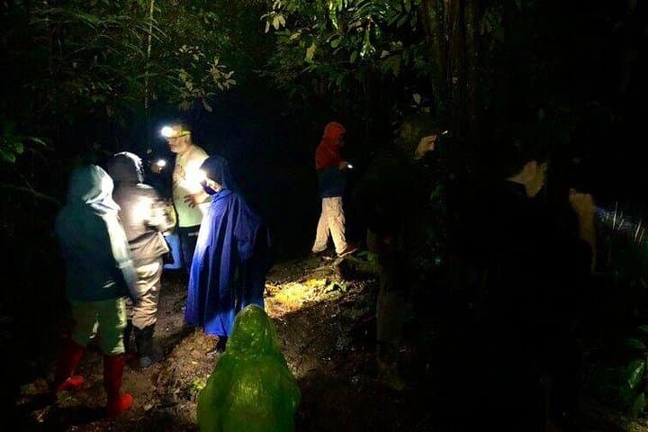 Sarapiquí Rainforest Night Walk — Guided Wildlife Tour in Costa Rica photo 1