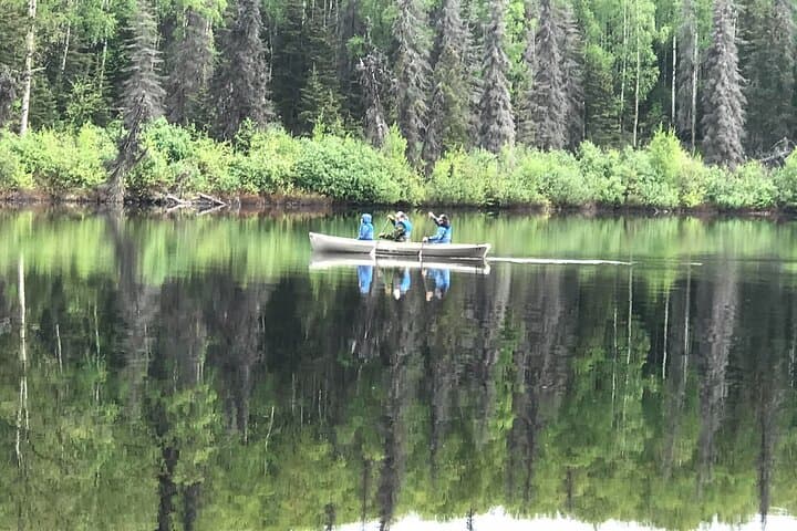 Self-Guided Alaskan Canoe Adventure on Nancy Lake: Paddle, Portage, and Wildlife