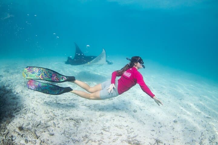 Discover Baa Atoll: 4 Nights in Dharavandhoo with Hanifaru Bay Manta & Whale Shark Snorkel photo 5