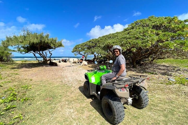 South Mauritius 35km Quad Excursion — Beaches, Natural Bridge & Royal Palms photo 4