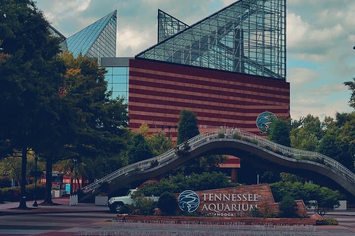 Walking Tour of Chattanooga: Riverfront, Bluff View & Public Art photo 2