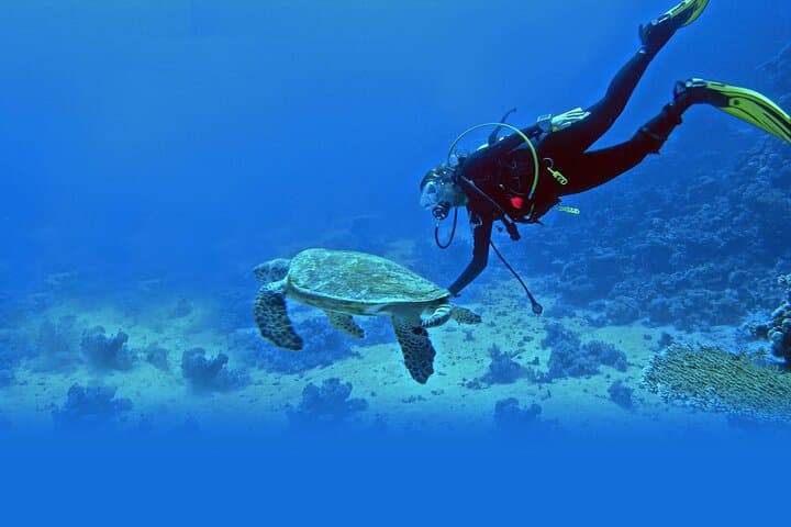 Introductory Scuba Diving at Jumeirah Beach Dubai with Private Transfers photo 4