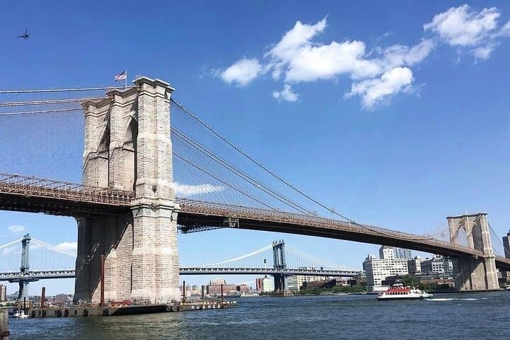 Panoramic Streets: 4-Hour Upper & Lower Manhattan Tour photo 3