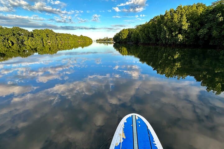 SUP the Tamarin River: Guided Paddle Through Mauritian Mangroves photo 3