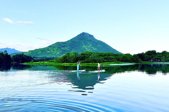 SUP the Tamarin River: Guided Paddle Through Mauritian Mangroves photo 4