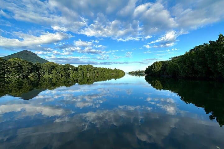 SUP the Tamarin River: Guided Paddle Through Mauritian Mangroves photo 6
