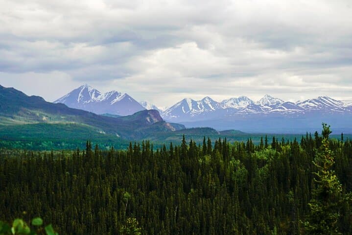 Denali Park Nature Walk: 3-Hour Naturalist Guided Hike photo 5
