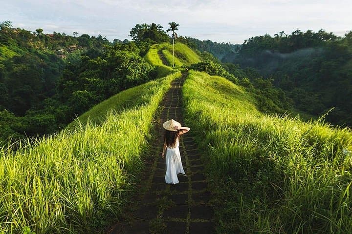 Ubud Countryside Day Tour — Campuhan Ridge Walk, Tegalalang & Tirta Empul photo 1