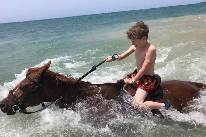 Bamboo Rafting and Beach Horseback Riding from Ocho Rios: A Private 3–4 Hour Excursion photo 4