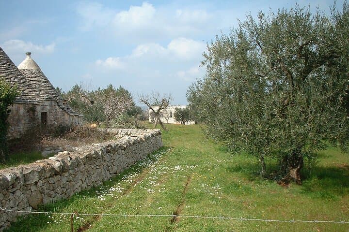 Alberobello Instagrammable Trulli Urban Trail: Offbeat Photos & Local Stories photo 6