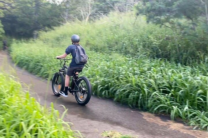 West Maui eBike Island Explorer: Full-Day Electric Bike Rental & Coastal Tour photo 5