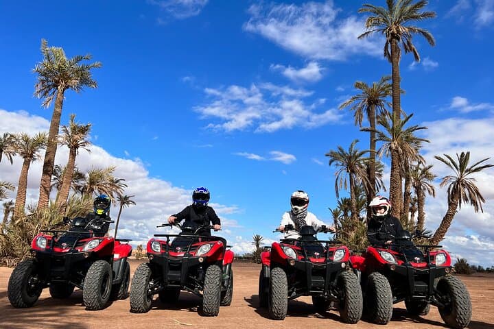 Marrakech Palmeraie Quad Biking Adventure: 3-Hour Guided Tour