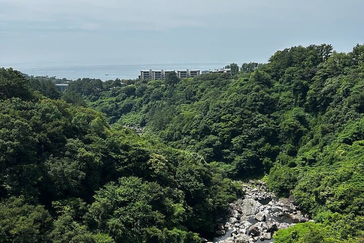 Jungmun Walking Tour: Cheonjeyeon Falls, Beritnae Oreum & Saekdal Beach in Seogwipo photo 4