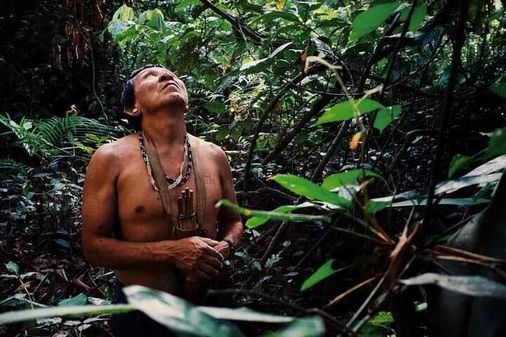 4-Day Manu Jungle Tour from Cusco: Macaws, Treehouse Stays & River Expeditions photo 4