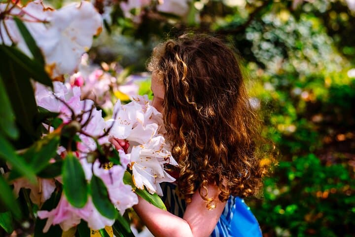 Explore Ireland's Global Garden: Mount Congreve Gardens Visitor Guide
