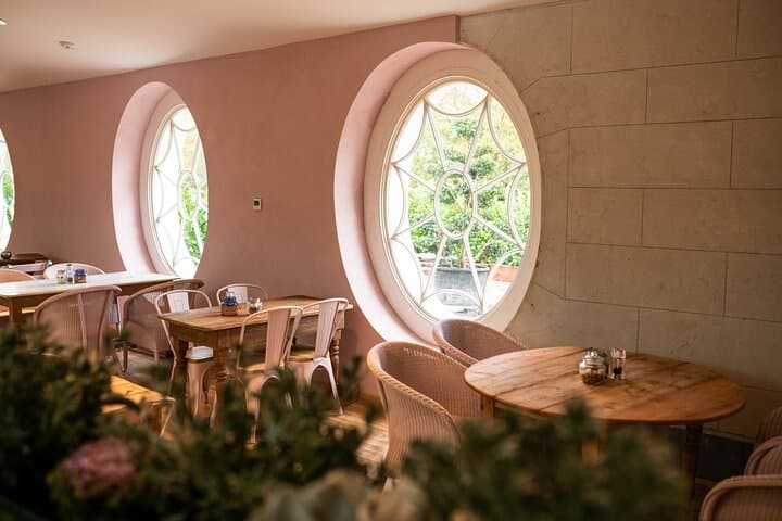 Explore Ireland's Global Garden: Mount Congreve Gardens Visitor Guide photo 6