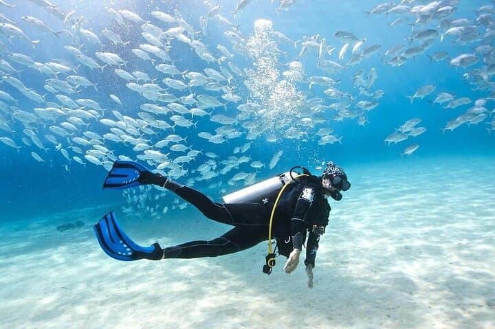 Fethiye Two-Dive Scuba Adventure with Professional Instructor