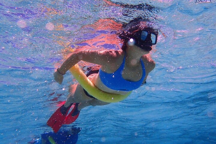 Roatan Drift Snorkel and Monkey & Sloth Sanctuary Tour — Snorkel with Turtles and Meet Rescue Wildlife photo 6