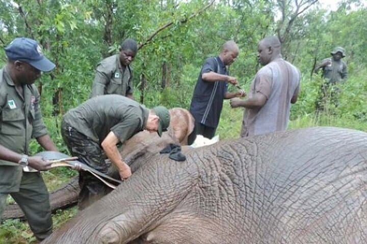 Yankari Game Reserve & Sumu Wildlife Park: 2-Day Safari in Bauchi, Nigeria photo 4