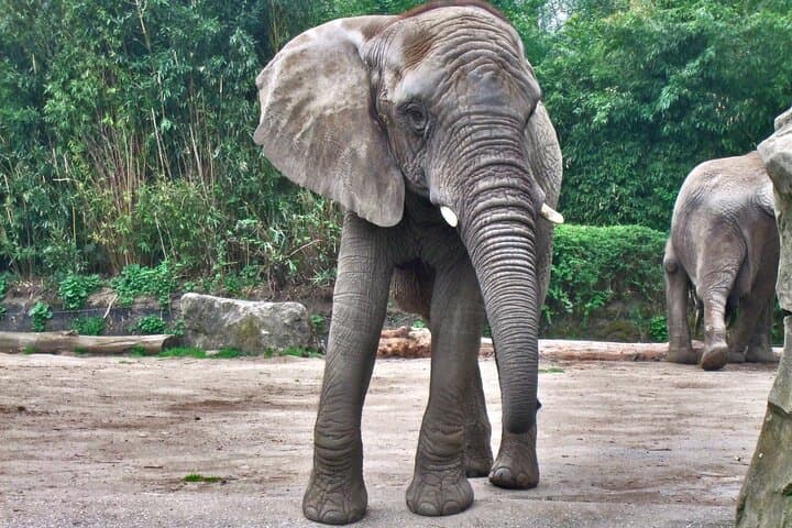 Yankari Game Reserve & Sumu Wildlife Park: 2-Day Safari in Bauchi, Nigeria photo 5