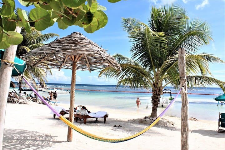 Climb Dunn's River Falls & Beach Tour — Ocho Rios Adventure with Entry Included photo 5