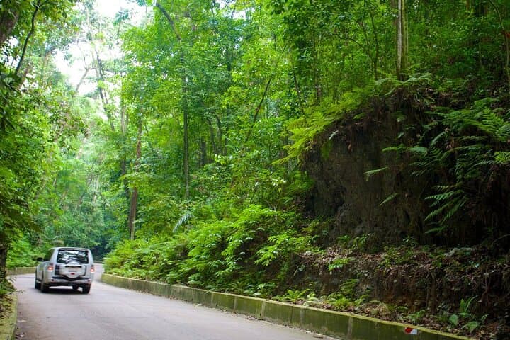 Half-Day Ocho Rios Sightseeing and Puerto Seco Beach Escape