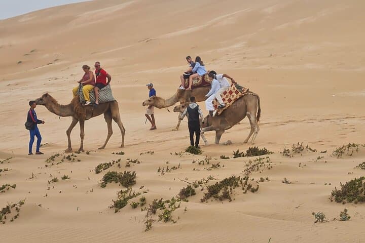 Half-Day Agadir Desert Adventure: Camel Ride, Quad Biking & Sandboarding photo 4