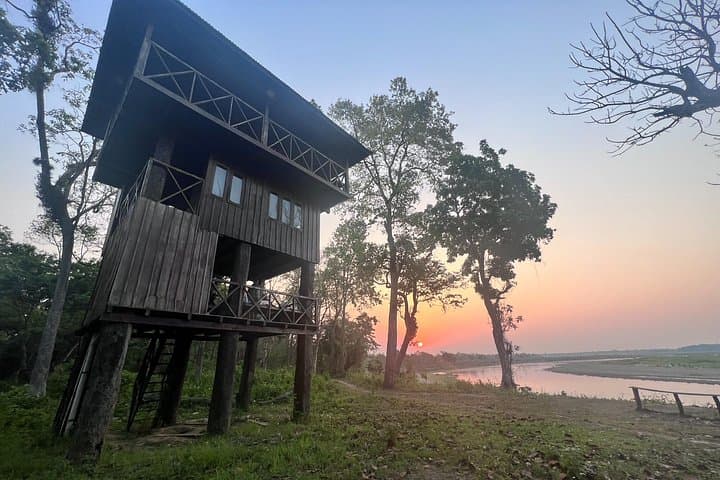 Jungle Tower Stay — 4-Day Chitwan National Park Safari & Tower Nights photo 1