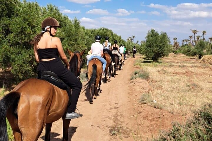 Private Horseback Ride through Marrakech's Palmeraie with Berber Tea photo 3