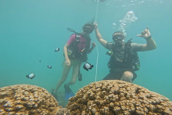 Beginner Scuba Diving in Honolulu at Magic Island Lagoon (Free Video Package) photo 6