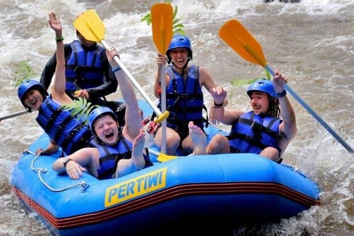 Ubud Ayung River Rafting & Swing Combo — 2-Hour Rapids, VW Tour, Lunch photo 6