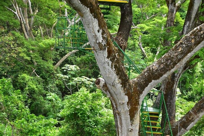 Tamarindo Zipline Adventure: Sunset & Night Tree-Top Course photo 4
