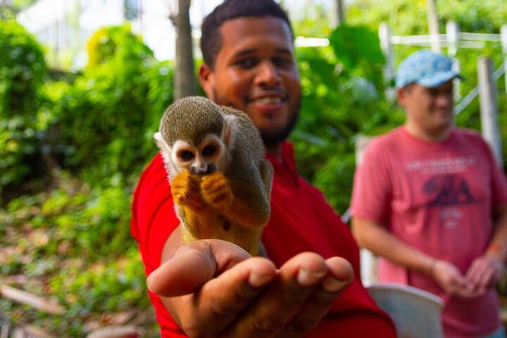 Cabarete Monkey Encounter and 7-Station Zipline Adventure