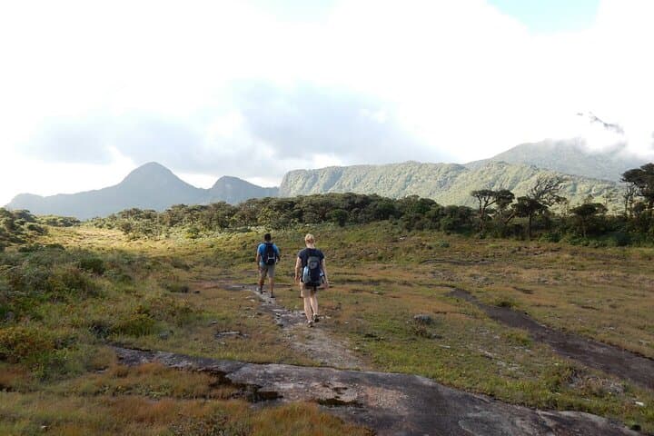 Knuckles Leopard Trail Trek from Kandy — Day Hike in Sri Lanka's Knuckles Range photo 5