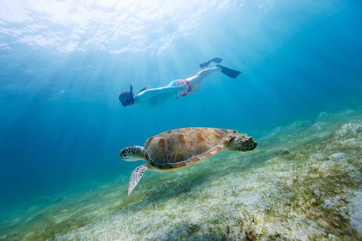 Destin Snorkel and Dolphin Watching: Catamaran Tour on the Emerald Coast photo 2