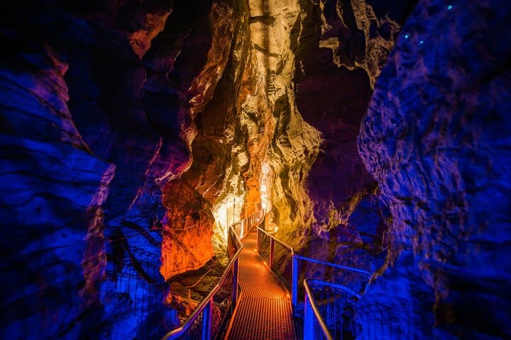 Beneath the Waikato: Waitomo Glowworm & Ruakuri Twin Cave Day Tour From Auckland photo 6