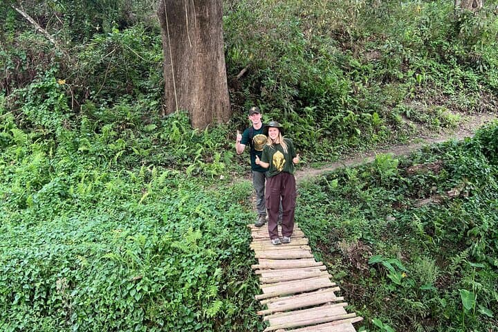 5-Day Guided Jungle Walk in Chitwan National Park — Rhinos, Tigers & Tharu Villages photo 4
