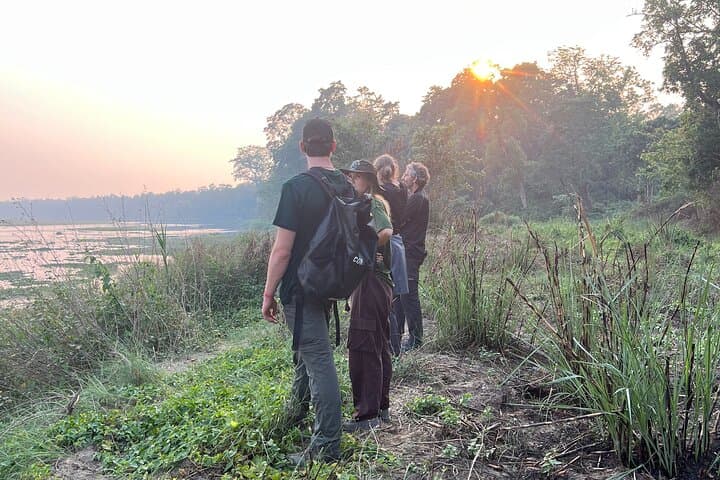 5-Day Guided Jungle Walk in Chitwan National Park — Rhinos, Tigers & Tharu Villages photo 5