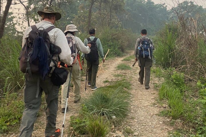 5-Day Guided Jungle Walk in Chitwan National Park — Rhinos, Tigers & Tharu Villages photo 2