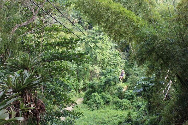 Chukka White River Zipline, Tubing & Blue Hole Adventure from Montego Bay photo 3