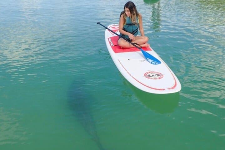 Guided Dolphin Kayak & SUP Eco Tour in Estero Bay (Big Hickory Island)